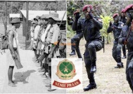 Featured 15 E1627189138693