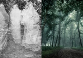 Untitled Collage 7