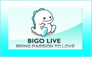 Bigo Live Windows 7 Laptop Pc Mac