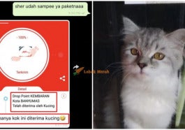 Kok Kucing E1633141933453