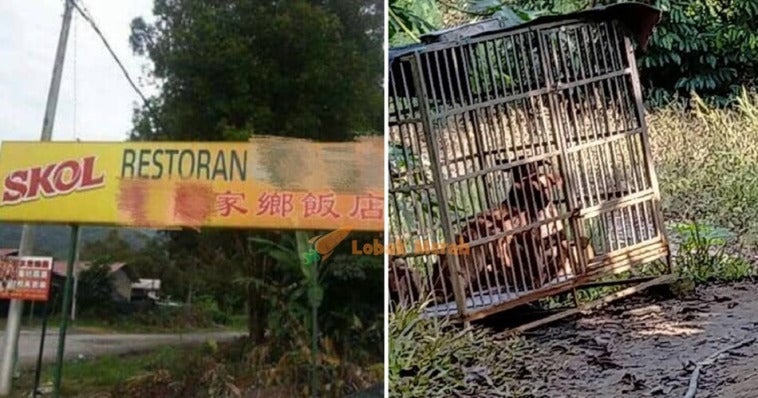 Malaysian Man Exposes Negeri Sembilan Restaurant Killing Selling Dog Meat Illegally World Of Buzz 1