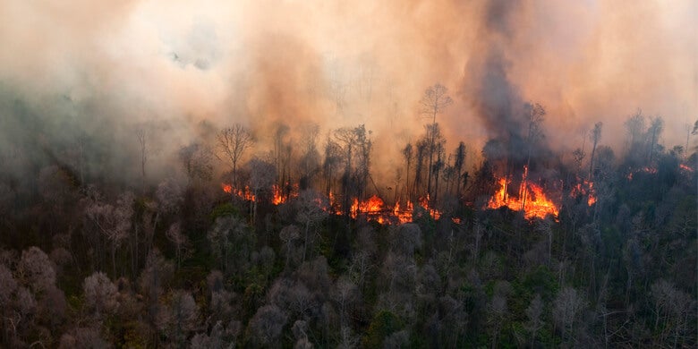 Kebakaran Hutan Riau