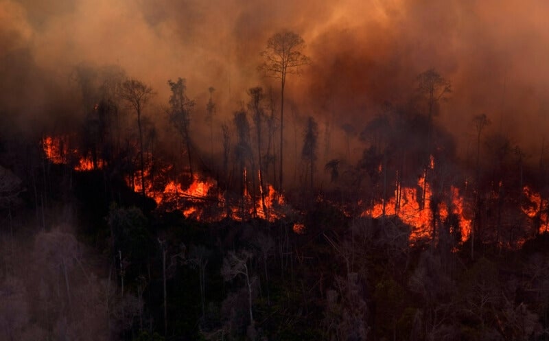 Kebakaran Hutan Lahan Di Jambi Mencapai 357 Hektare Swnoimrjj3