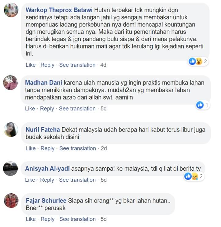 komen hutan terbakar