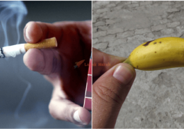 Scientist Smoking Can Make Your Penis Shrink World Of Buzz 4