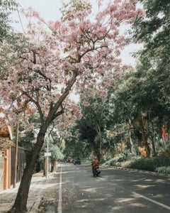 Surabaya2