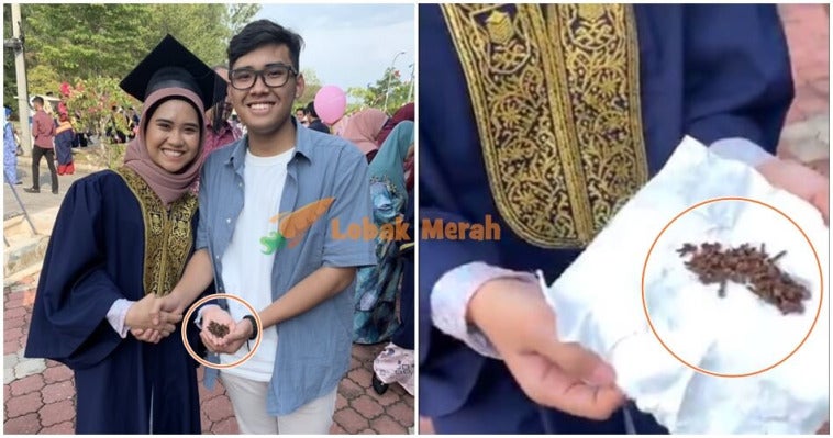 feature image cengkih