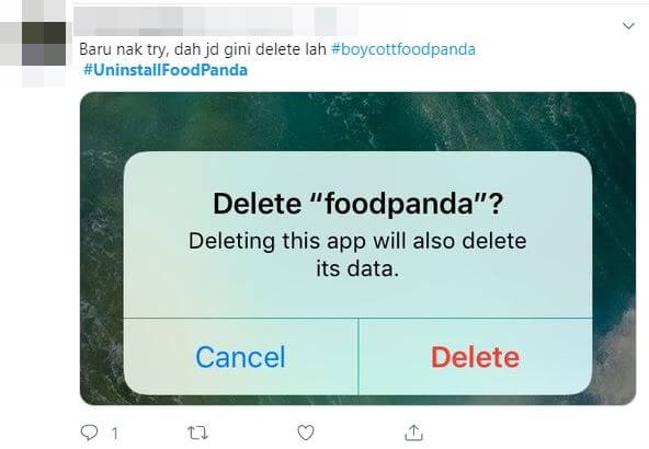 Foodpanda6