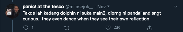 Screen Shot 2019 11 09 at 10.41.28 AM