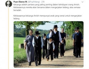 Amish 3