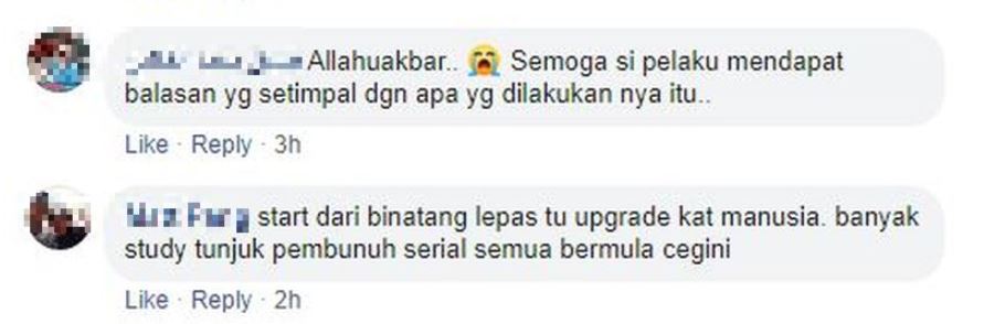 bakarkucing2