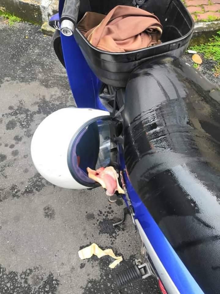 78557678 2560119110886222 8166014533836472320 o
