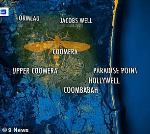 24005714 7940259 Swarms of the insects have prompted local government action up n a 20 1580254469321