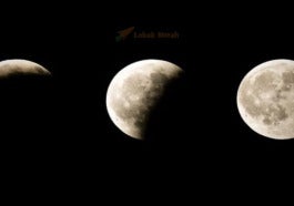 Eclipse 2020 Uk Will Penumbral Eclipse Peak Over Uk When Is Lunar Eclipse Full Moon 1224801