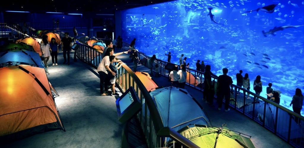 Sea Aquarium Ocean Dreams 1366X666Px