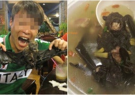 bat soup