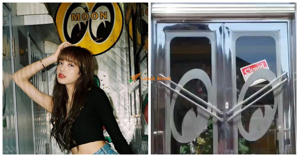 collage 14