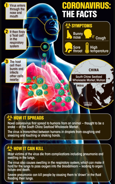 Coronavirus