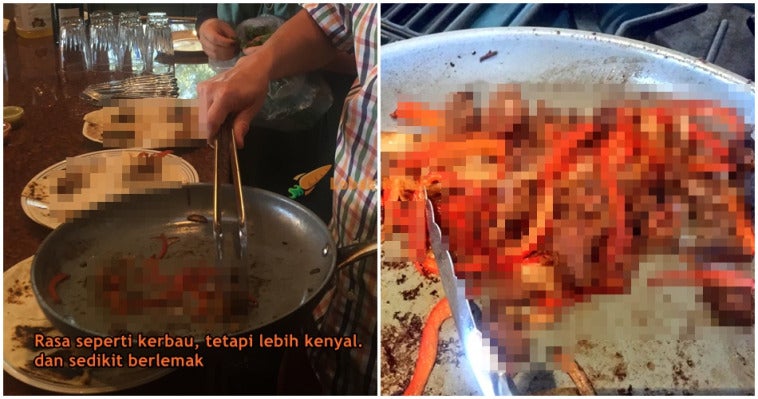 featured image daging manusia 1