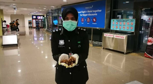 Man Gets Caught Smuggling Dried Rat Meat Into Penang Airport Amid Wuhan Coronavirus Fears World Of Buzz 3