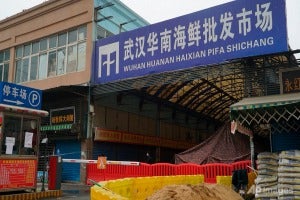 Wuhan Pneumonia Virus Wholesale Seafood Market