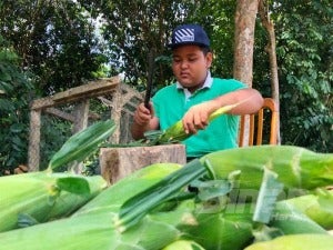 Adik Jual Jagung