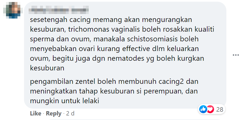 cacing4