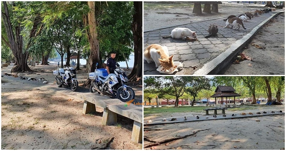 Combine Kucing 3