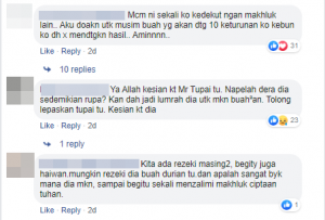 komen fb 6