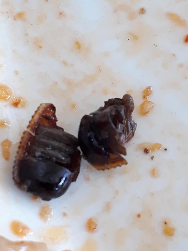 Msian Finds Cockroach Eggs In His Rice At Sepang Mamak Warns Netizens To Check Food Before Eating World Of Buzz