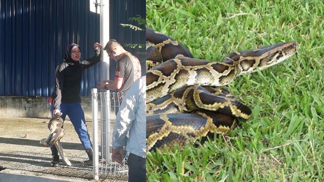 WhatsApp Image 2020 04 04 at 5.19.58 PM