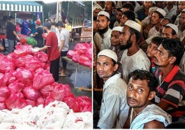 Combine Rohingya