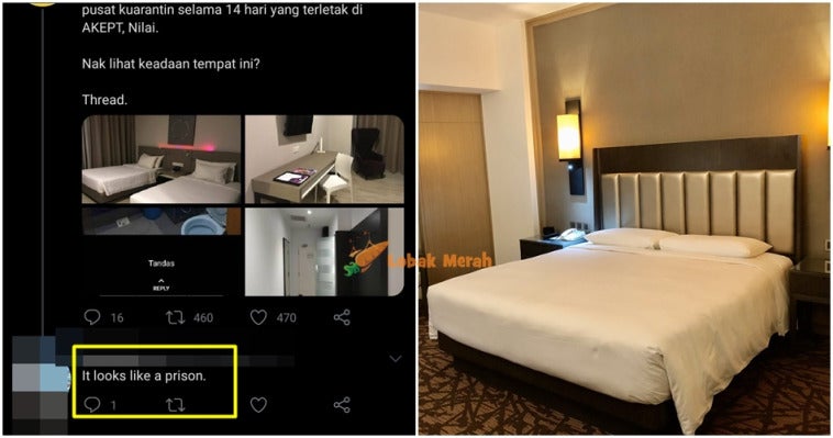hilton8