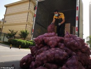 bawang 2