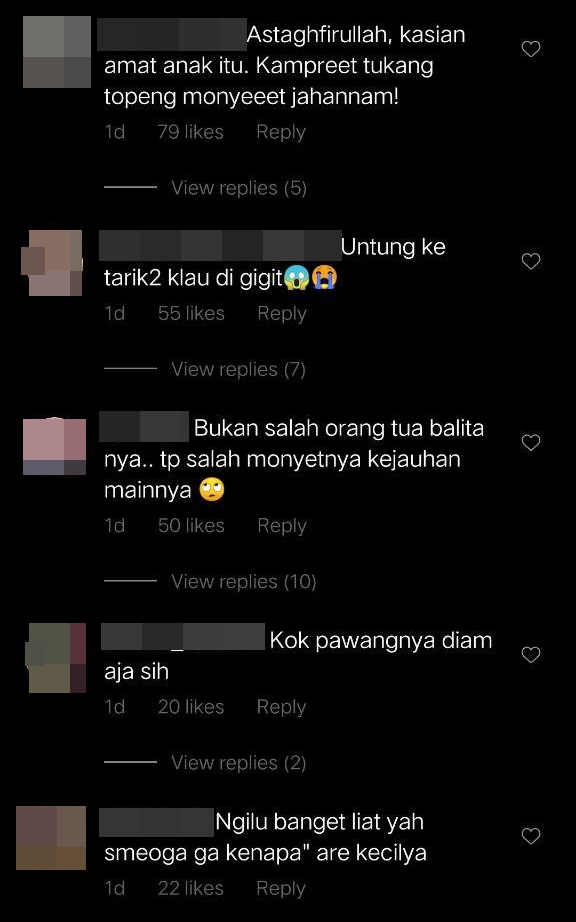 monyet 4