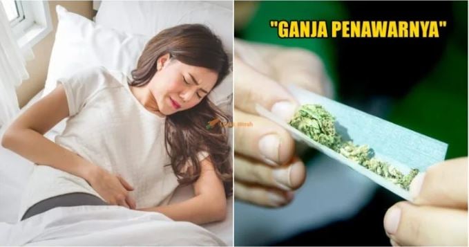 Penawarganja