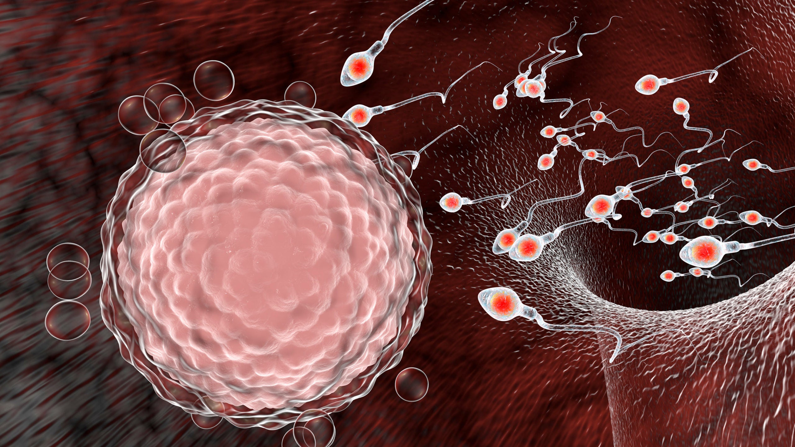 semen1 scaled