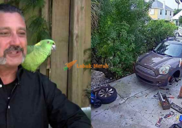 aaa