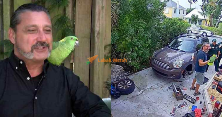 aaa