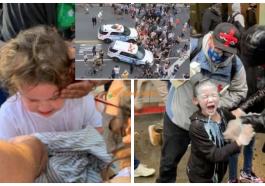collage 10