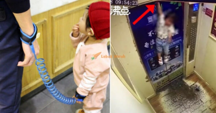 leash3 1