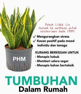 Pokok 1