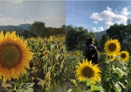 Untitled collage 4 1