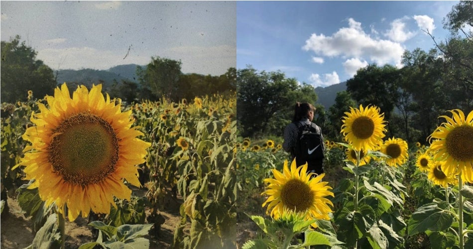 Untitled collage 4 1