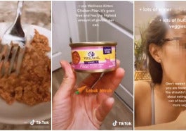 Cat Food