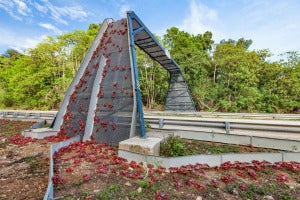 Crab Bridge Credit Wondrous World Images