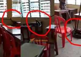 Ular Besar Ditemukan Di Bangku Sekolah