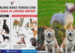 Gambar Hiasan 1 2