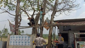 Warga Cilegon Dihukum Baca Yasin Dan Naik Ke Pohon Karena Langgar Protokol Kesehatan Foto M Iqbaldetikcom 2 169