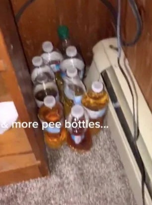 BOTOL 0.1